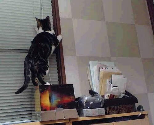 开云网页版-_阴晴变化中的比赛：气候如何改变比赛节奏_，阴晴变化是什么地理现象