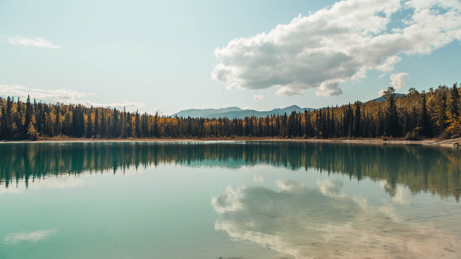 “自动化裁判带来的战术调整——不同规则下球队的应变策略”