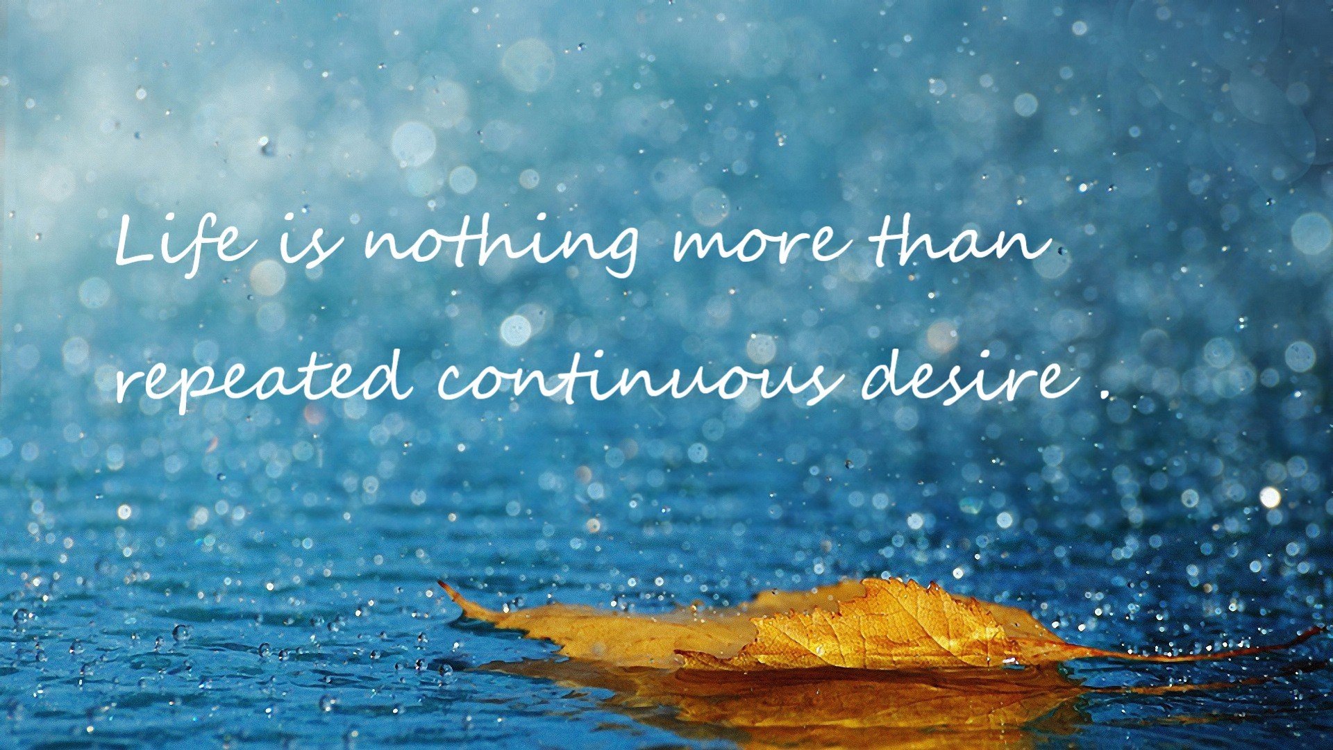 开云中国大陆-中国足球青训著名教练走出国门，推动国际交流合作，中国足球青训球员