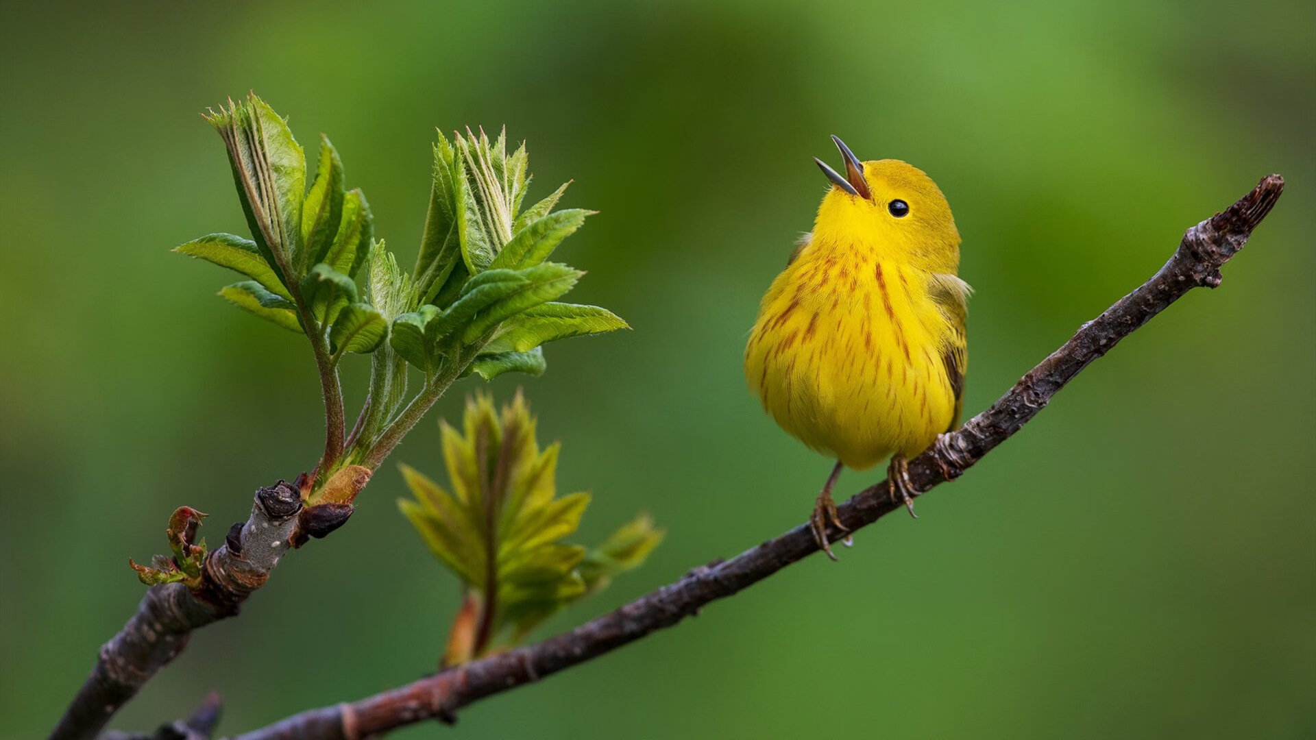 亚洲球队备战国际比赛，展现强大实力，亚洲预选赛球队