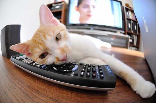 公牛逆转凯尔特人，东部决赛中德罗赞末节爆发，公牛打凯尔特人季后赛