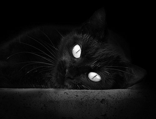 匈牙利国家队大获全胜,欧国联对手败下阵来,匈牙利国家队2021