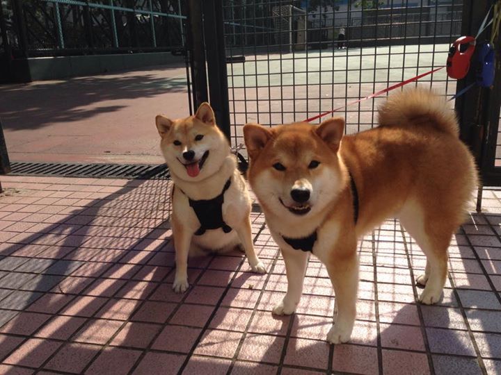 kaiyun登录入口-大连人连续多场不败，大连人连续多场不败的战役