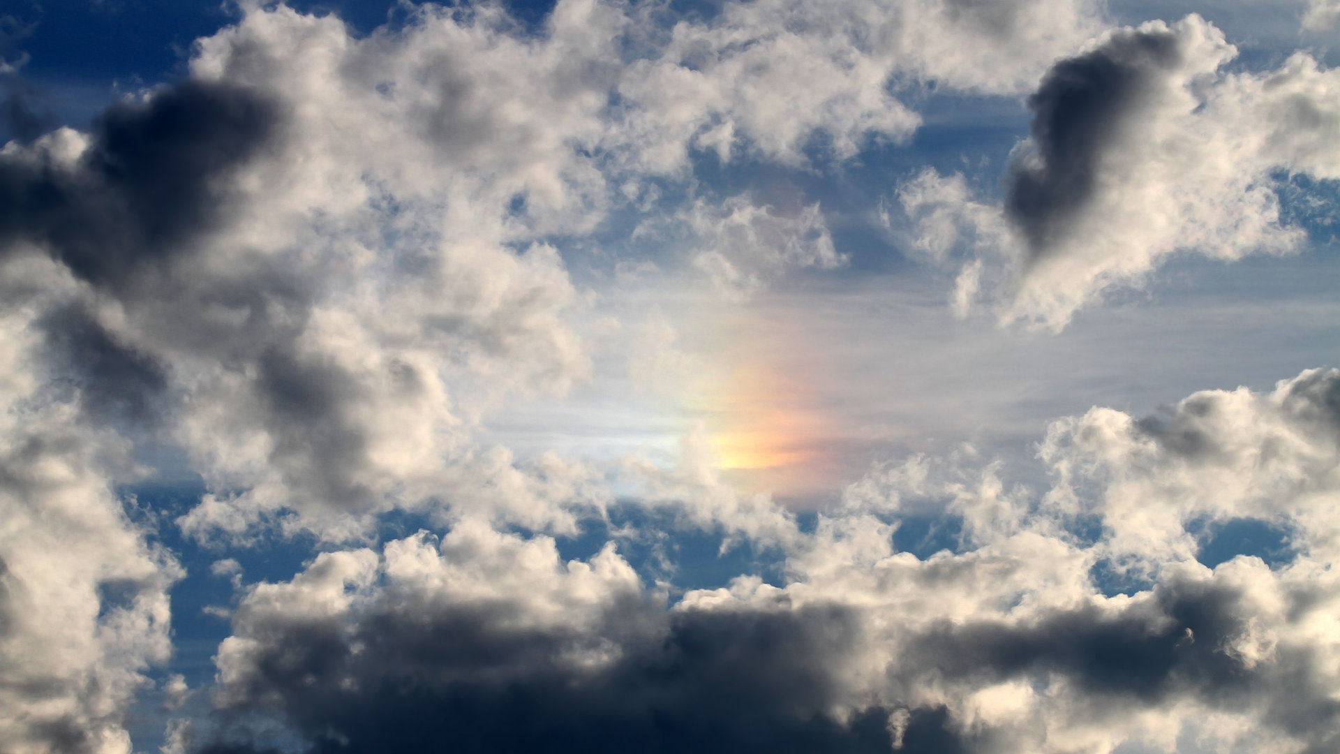 山东男篮再次获胜，稳坐榜首位置，山东男篮官方发布