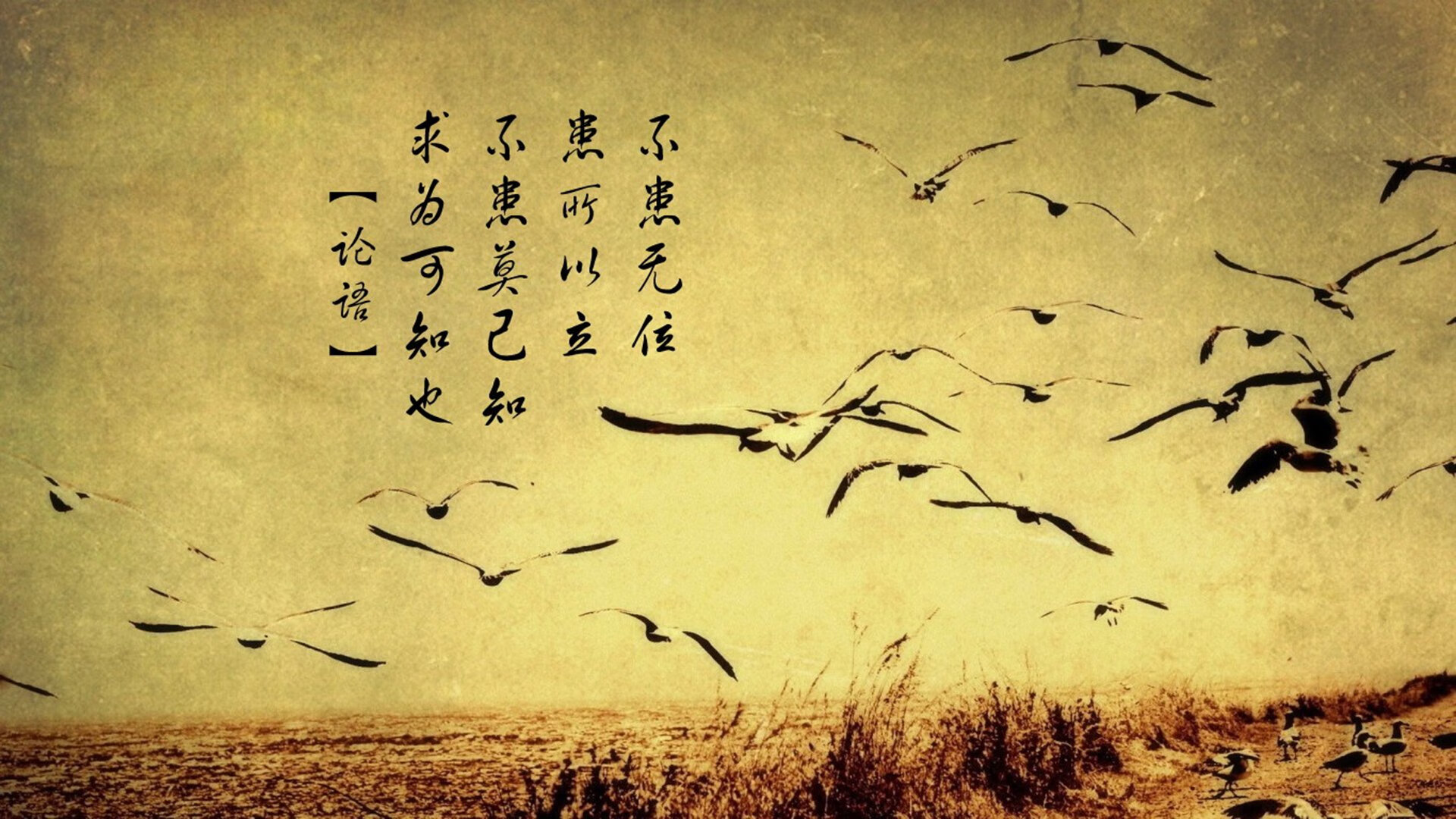 开云网页版-弗拉门戈体能储备充足，弗拉门戈的影响