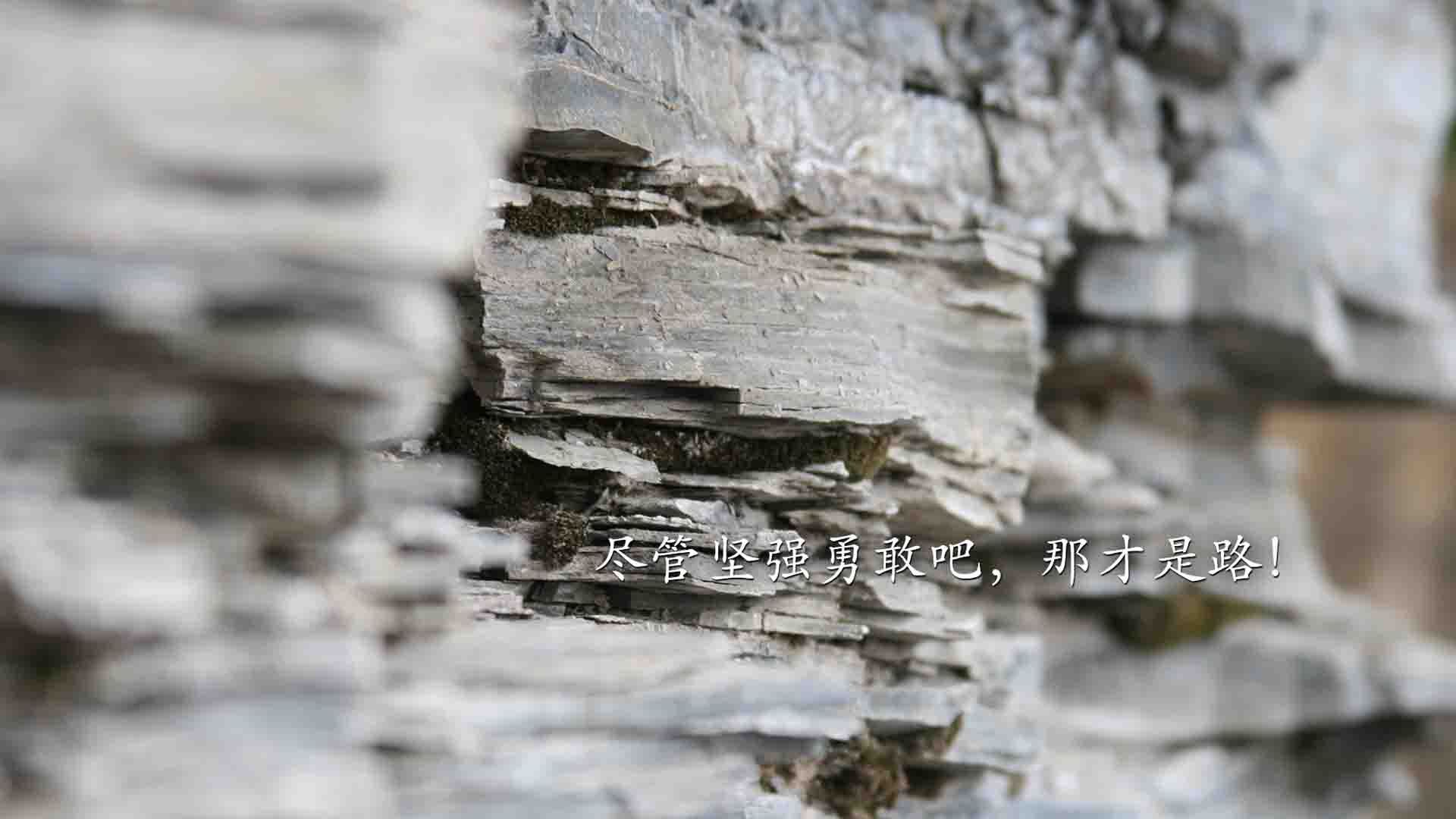 弗拉门戈关键时刻发挥冷静，弗拉门戈ds