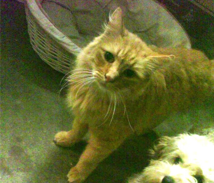 开云·体育全站登录地址-智诚不敌恒大，谋求保级希望更加渺茫，恒大智汇城