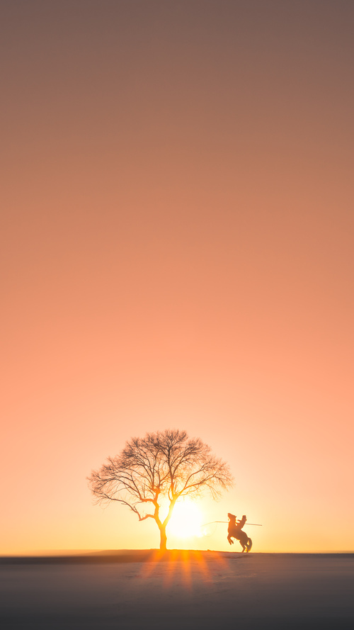 开云官网登录-英格兰力拼保级，主场对阵希腊备战关键一战，英格兰对希腊2002如果输了