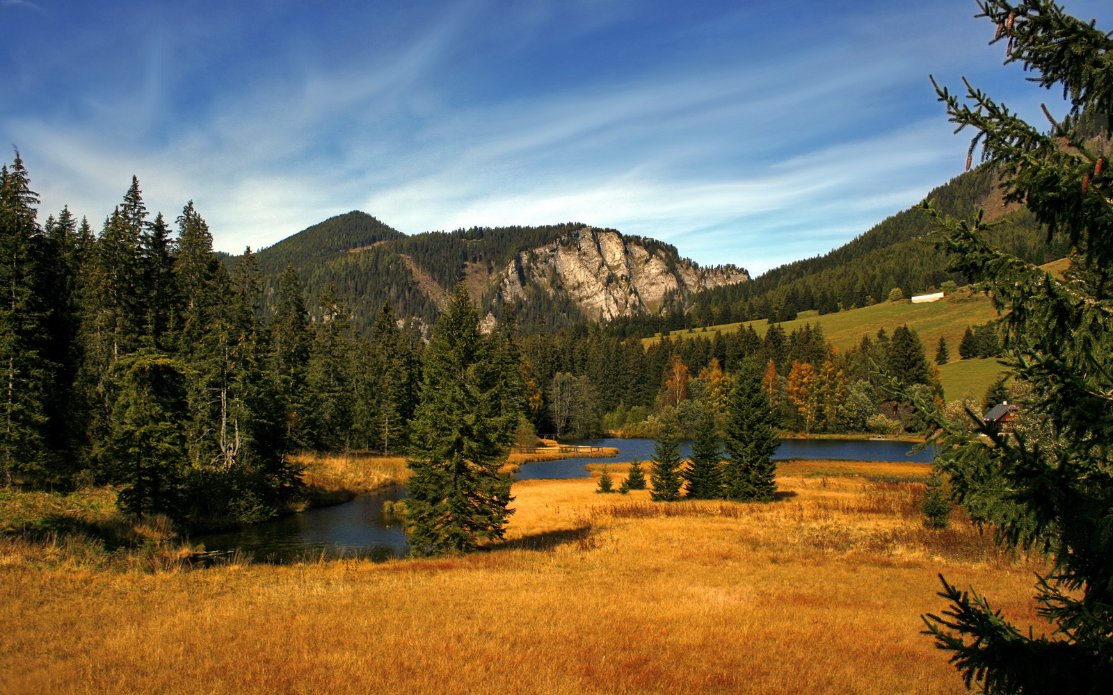 开云首页登录-阿尔阿赫利球员获选月度最佳，表现突出，阿尔阿赫利足球俱乐部