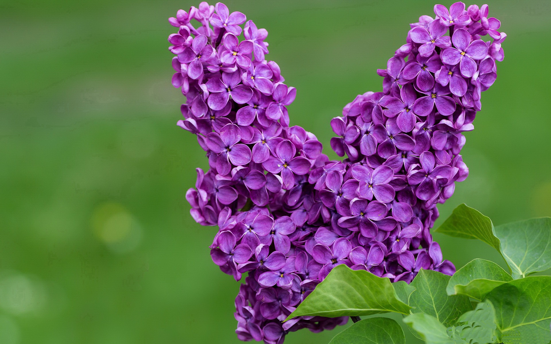 开云官网登录-中国三人篮球女队打造兼顾速度与力量的组合，中国三人篮球女生