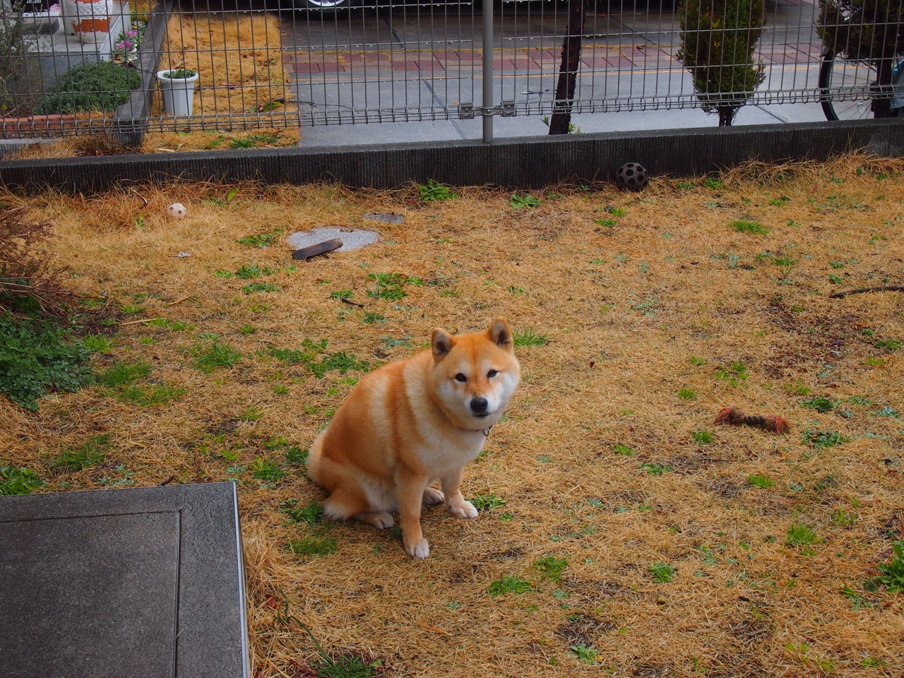 开云·体育官网APP下载-国家队与俱乐部利益博弈长期存在，国家队与俱乐部利益博弈长期存在的问题