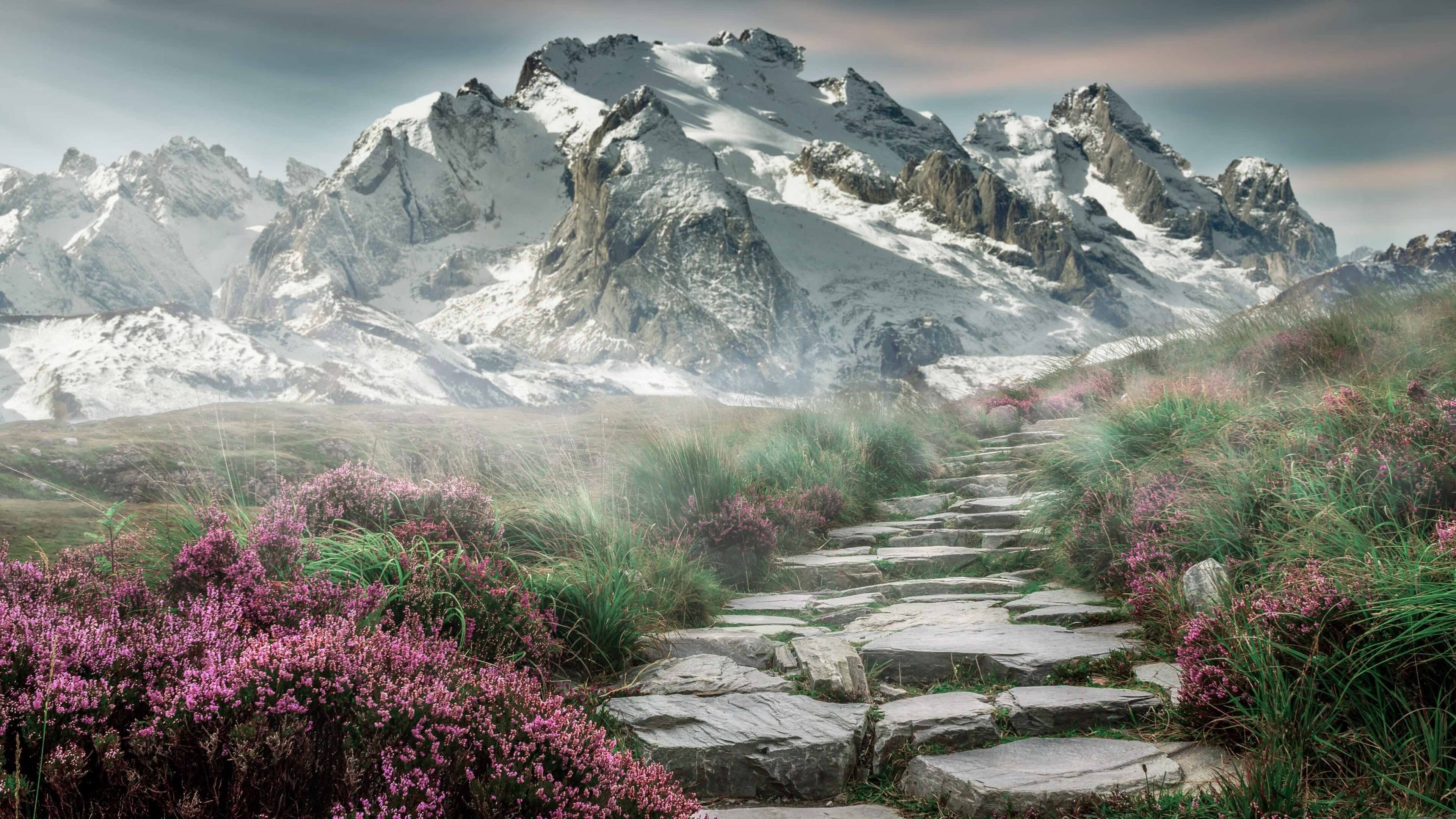 开云体育官方网入口-国家队中后场协调联动机制不成熟，中国队后场组织者叫什么