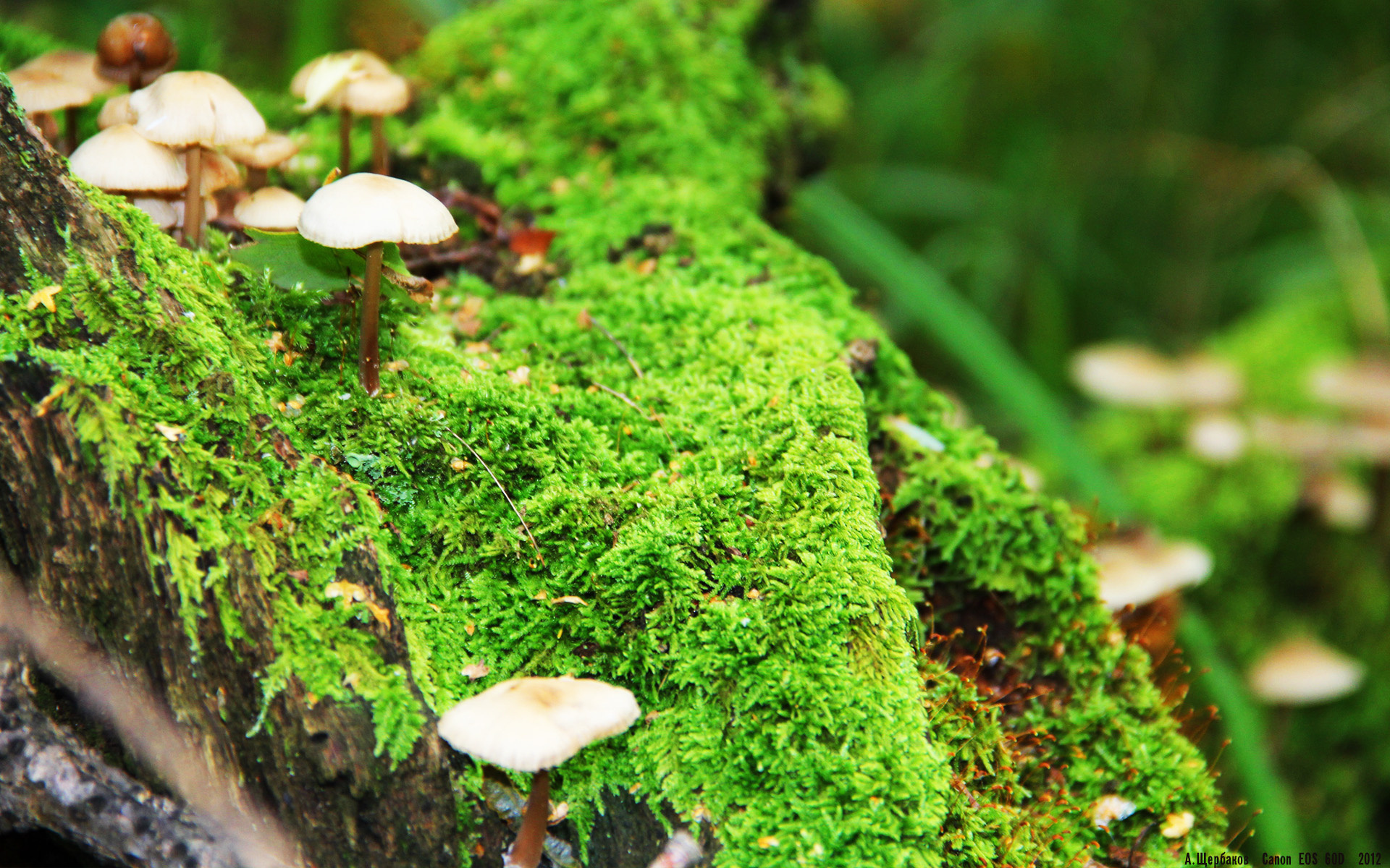 国家队赛前热身选择对手是否合理，国家队赛前热身选择对手是否合理呢