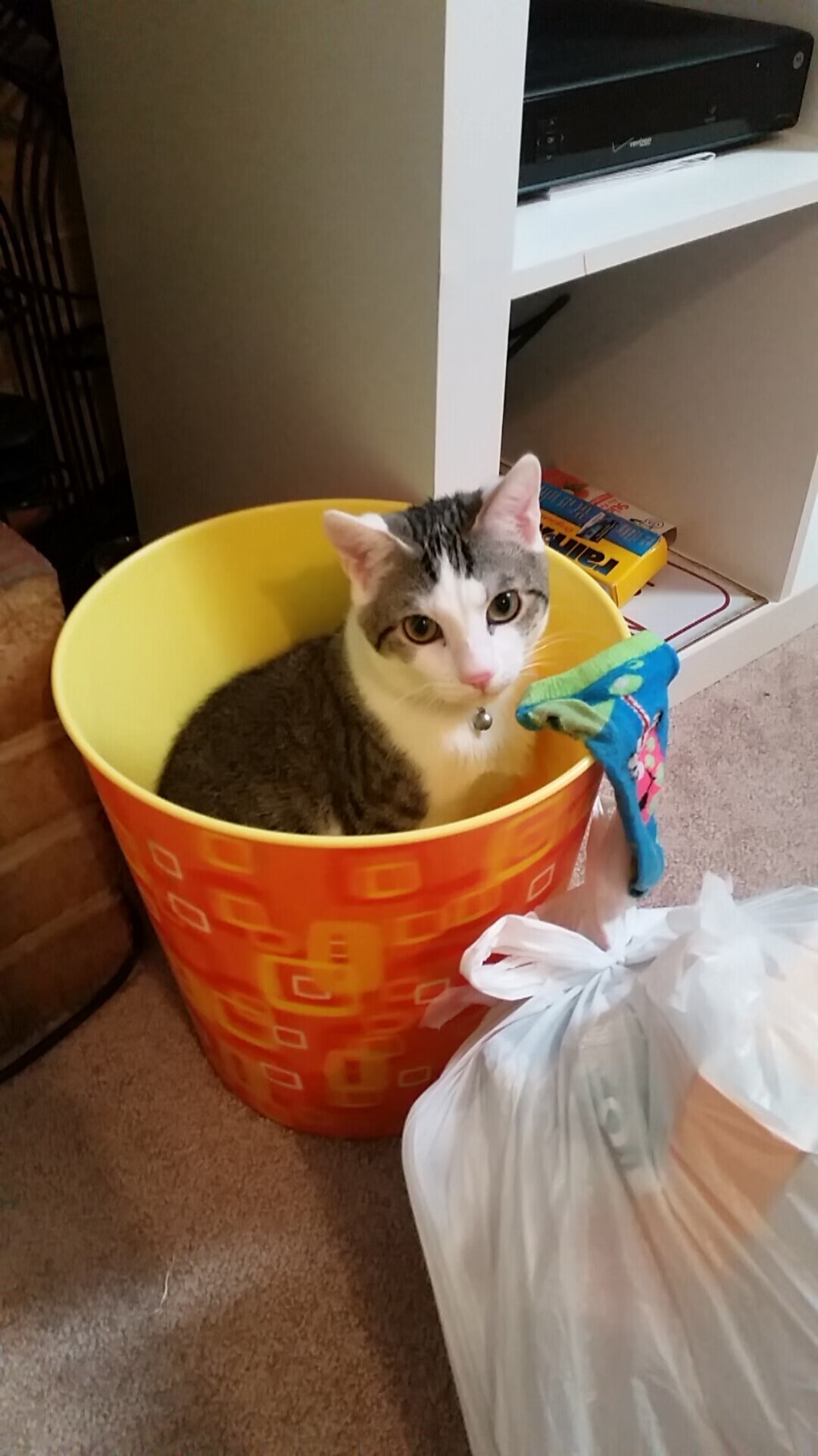 开云APP-海湾者球员压力激增，心理支持成关键，海湾gulf