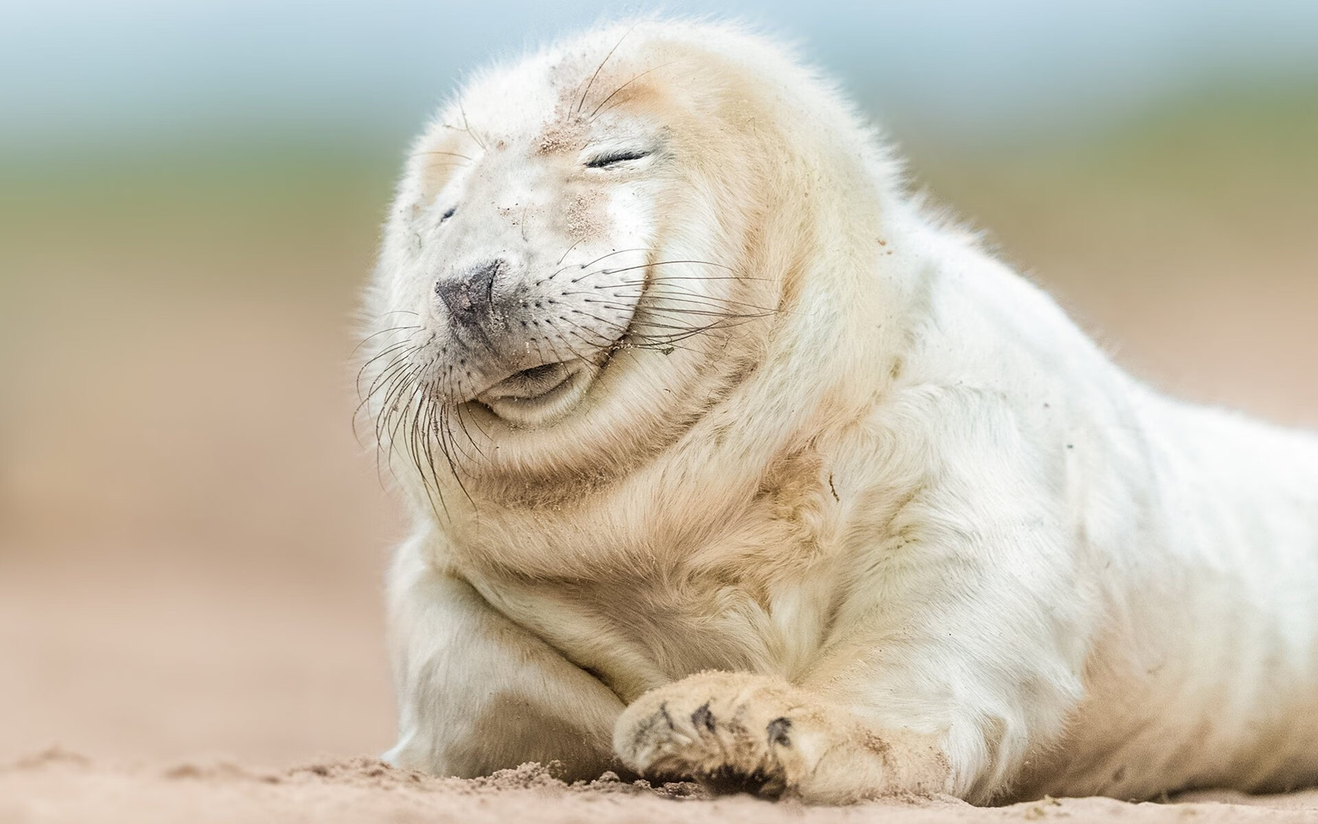 自由搏击赛事竞技水平提升明显,自由搏击含金量最高的赛事