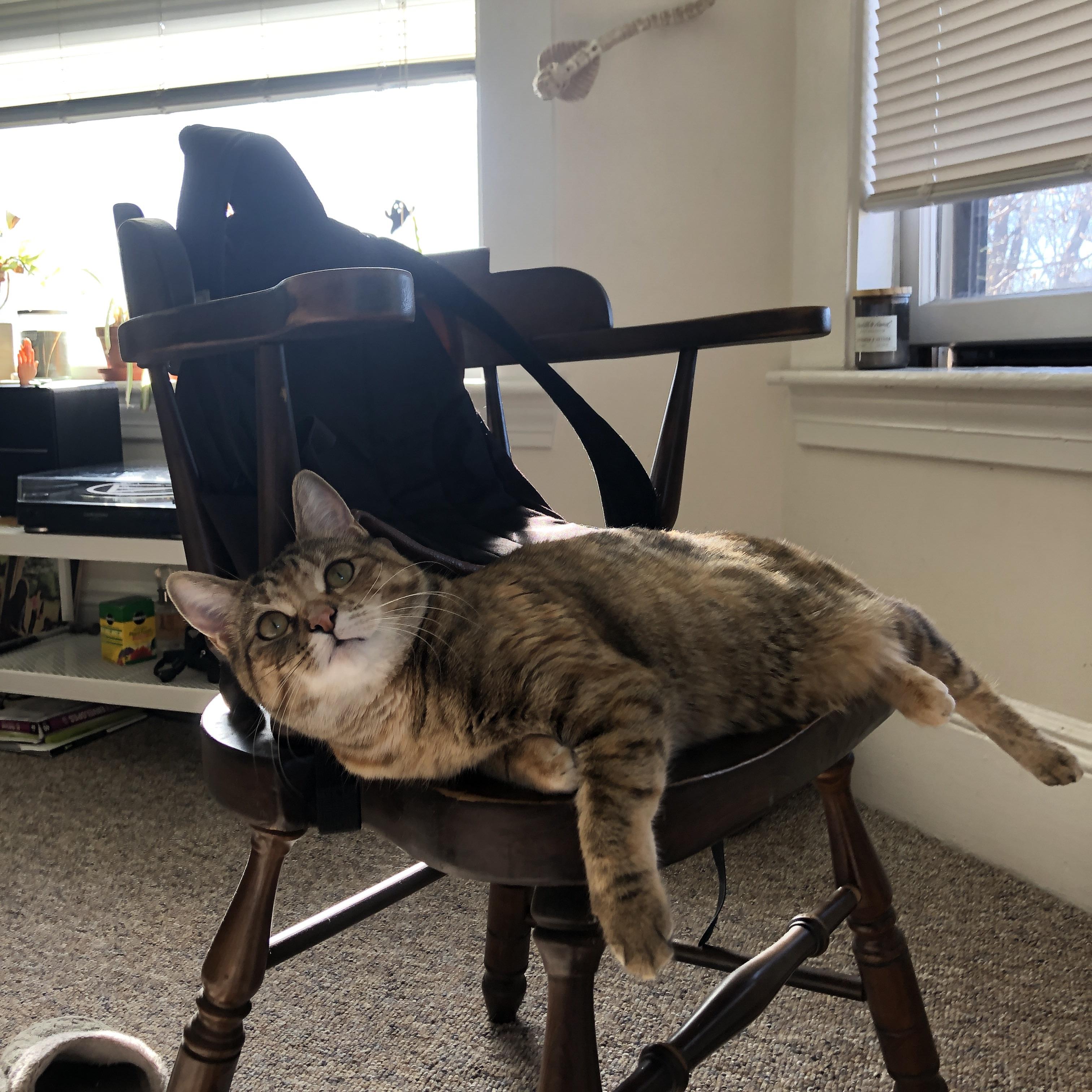 kaiyun网站-女子足球加快青训融合进程实现从校园到职业直通，青少年女子足球队