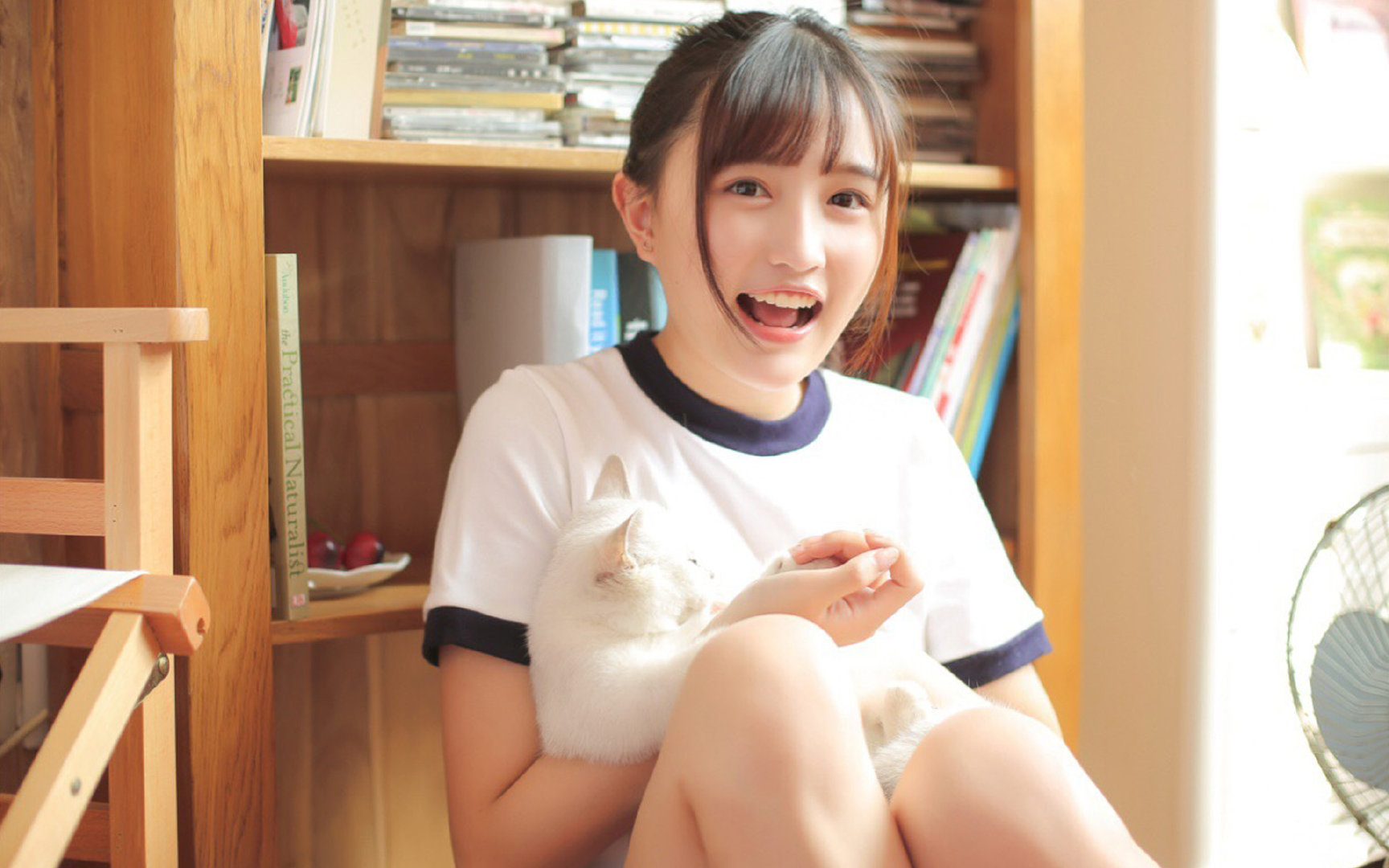 德甲战术变革:变化多端精彩不断!,德甲格局