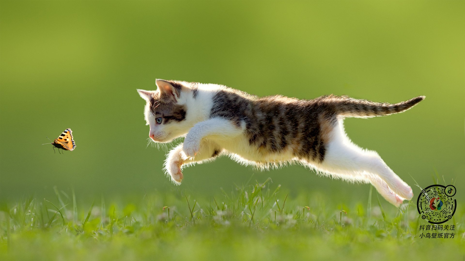 开云-德甲战术多变：大局布局不可预料！，德甲打法