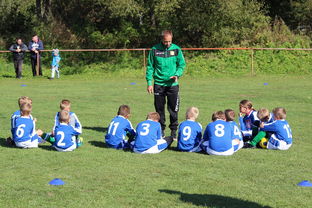 开云中国大陆-欧洲杯总冠军之争：战术智慧与个人能力的较量，欧洲杯冠军百度百科