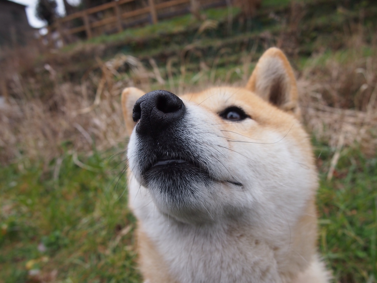 开云·体育官方网站入口-羽毛球赛事直播平台功能持续优化，羽毛球赛事直播app哪个好