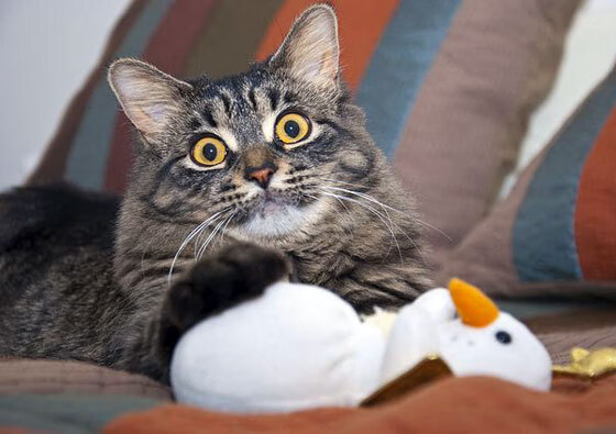 kaiyun体育app-陈佳：胜负之外更在于成长，胜负并不重要